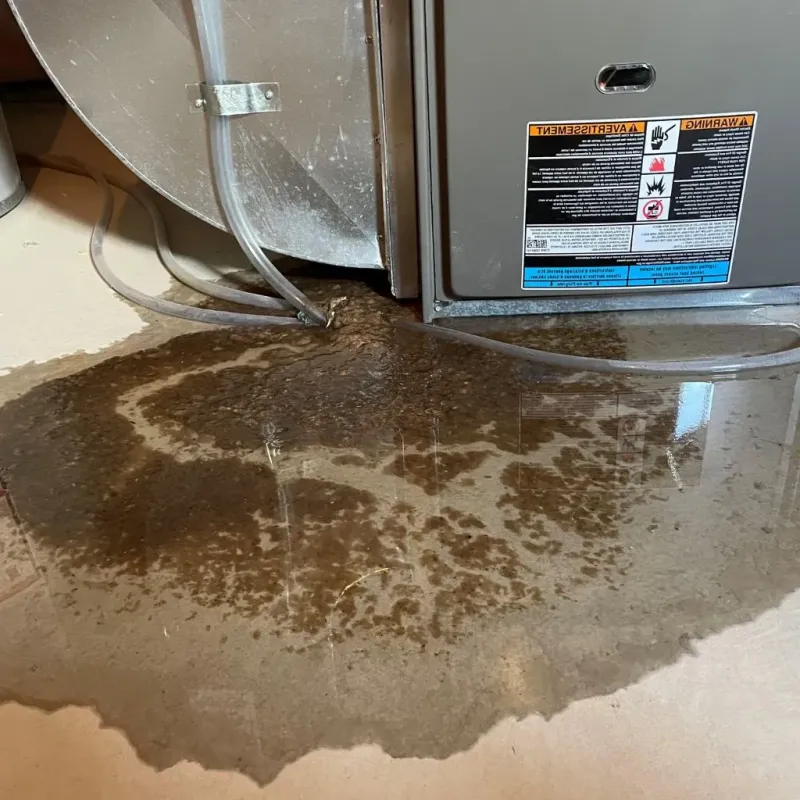 Pipe Burst and Leak Restoration in Balfour, NC