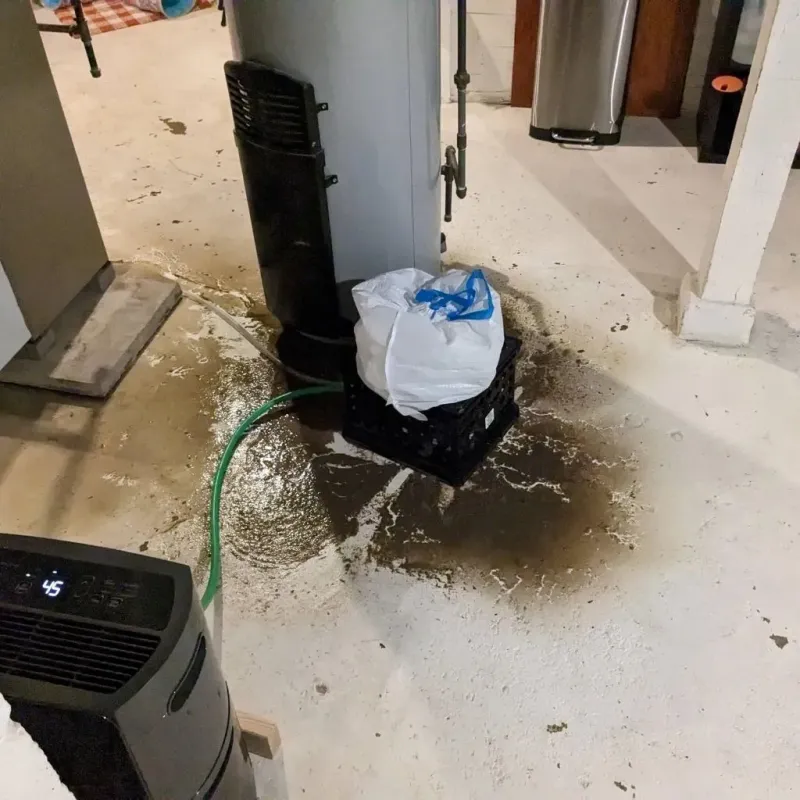 Sewage Backup Cleanup Service in Balfour, NC
